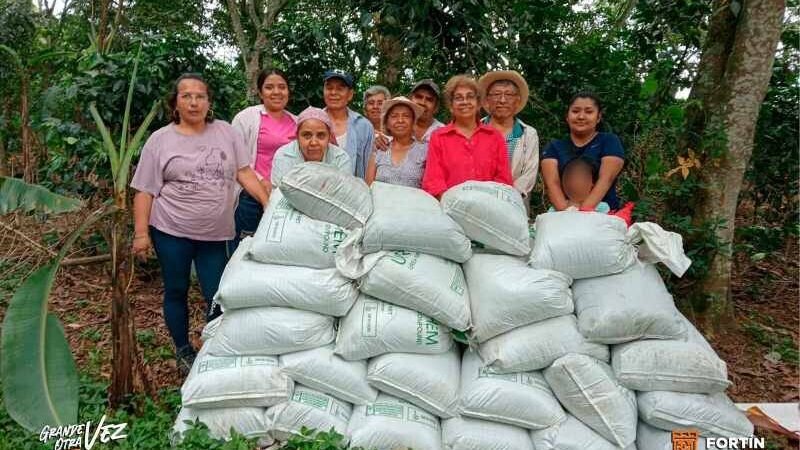FORTÍN IMPULSA LA PRODUCCIÓN DE PLANTA DE CAFÉ