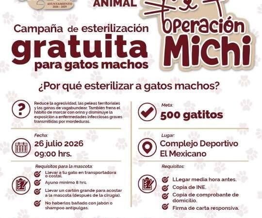 HABRÁ CAMPAÑA DE ESTERILIZACIÓN EN CÓRDOBA