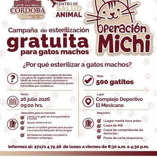 HABRÁ CAMPAÑA DE ESTERILIZACIÓN EN CÓRDOBA