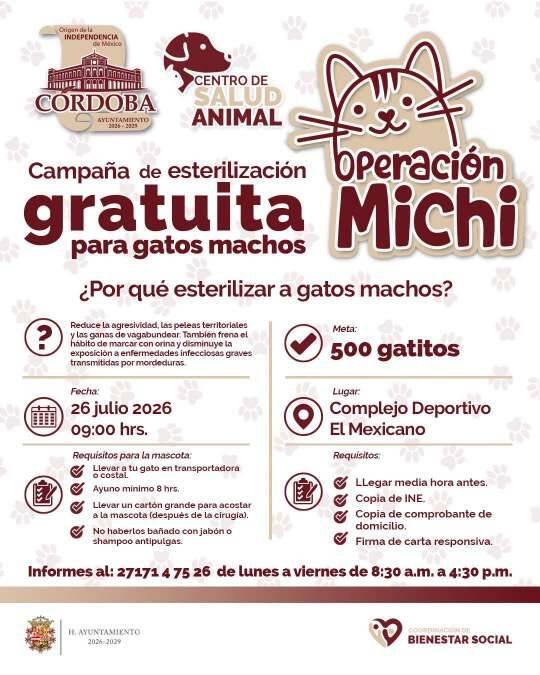 HABRÁ CAMPAÑA DE ESTERILIZACIÓN EN CÓRDOBA