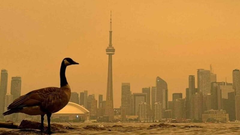 CANADÁ COMBATE 207 INCENDIOS SIN CONTROL; EL HUMO LLEGA HASTA EU