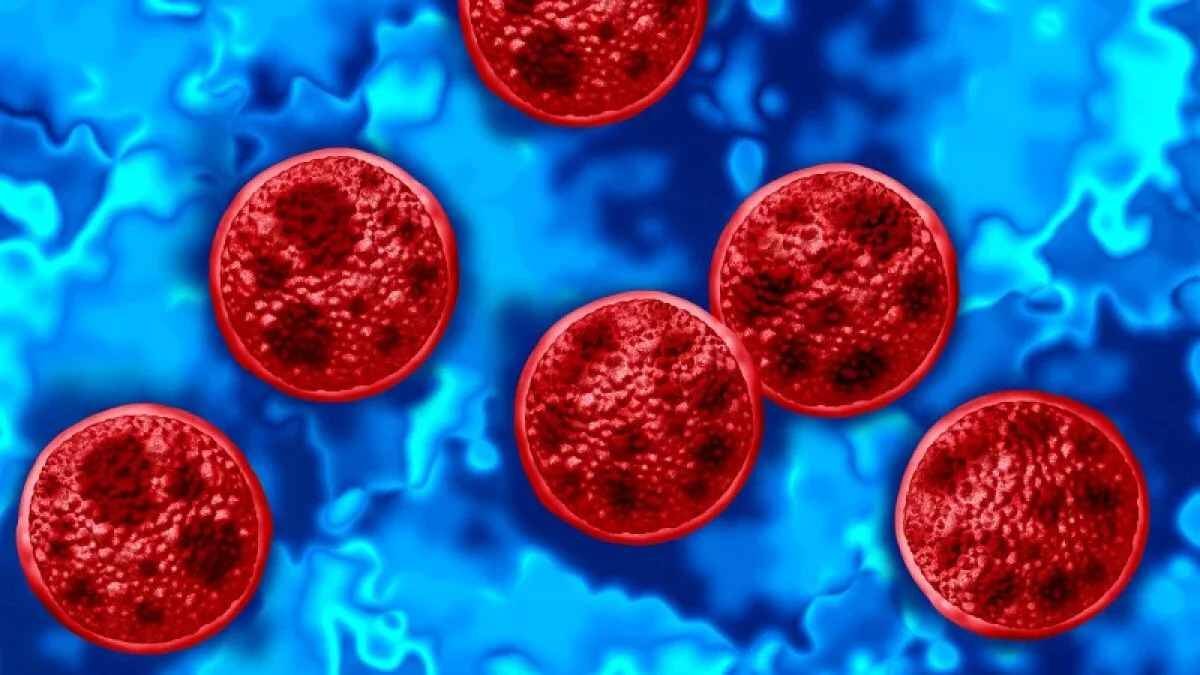 MÉXICO REPORTA TRES CASOS DE CYCLOSPORA