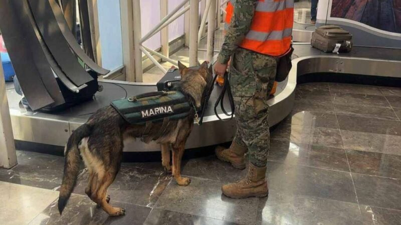 SONORA, SEXTO LUGAR EN CARPETAS DE INVESTIGACIÓN POR NARCOMENUDEO