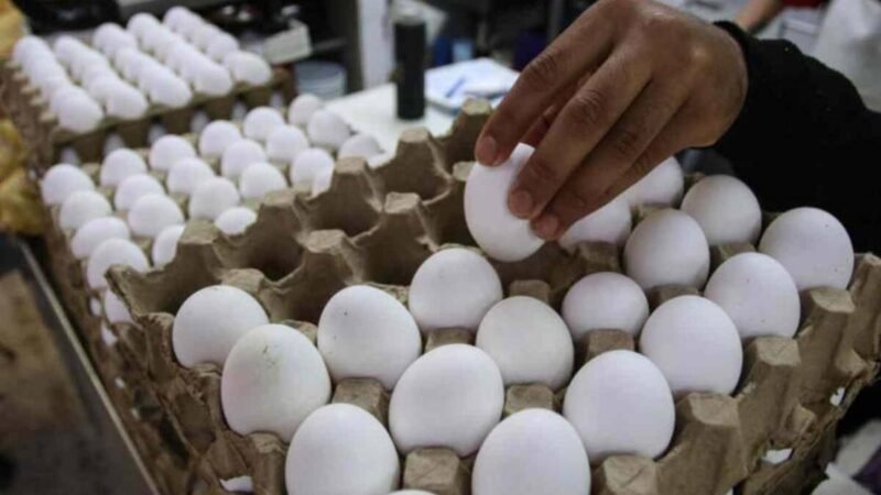 RETIRAN 1.5 MILLONES DE DOCENAS DE HUEVOS POR POSIBLE SALMONELA EN EU