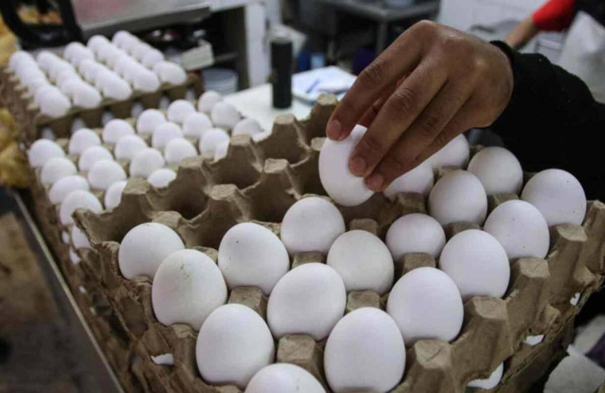 RETIRAN 1.5 MILLONES DE DOCENAS DE HUEVOS POR POSIBLE SALMONELA EN EU