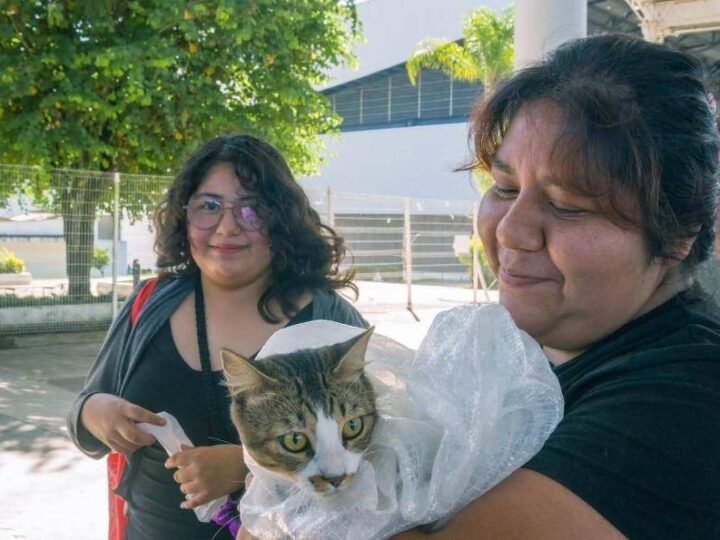 CÓRDOBA REALIZA LA PRIMERA JORNADA MASIVA DE ESTERILIZACIÓN CON LA OPERACIÓN MICHI