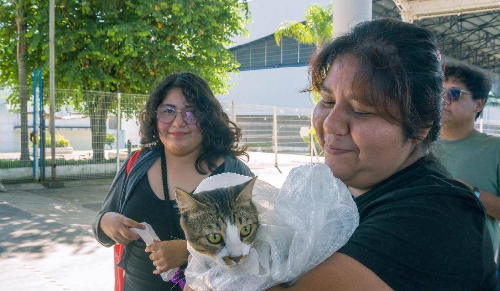 CÓRDOBA REALIZA LA PRIMERA JORNADA MASIVA DE ESTERILIZACIÓN CON LA OPERACIÓN MICHI