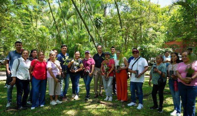IMPULSA ALCALDE DE CÓRDOBA PROGRAMA DE REFORESTACIÓN