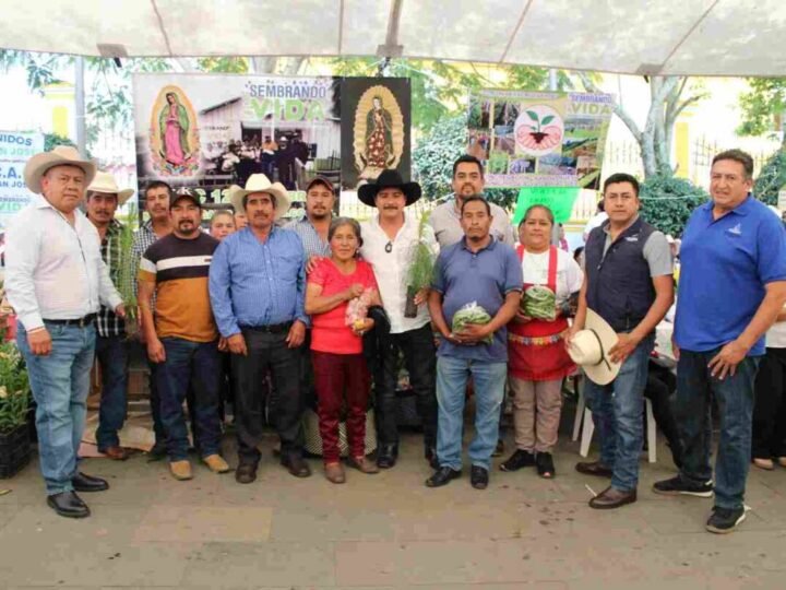 CELEBRAN TIANGUIS CAMPESINO EN COSCOMATEPEC