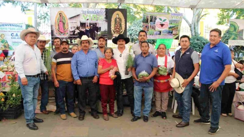 CELEBRAN TIANGUIS CAMPESINO EN COSCOMATEPEC