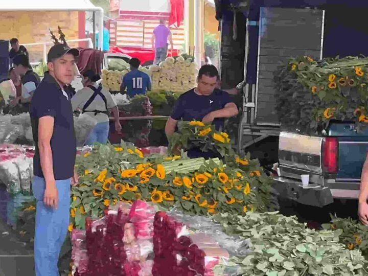 “MERCADO CERRITOS”; CORAZÓN ECONÓMICO DE ORIZABA
