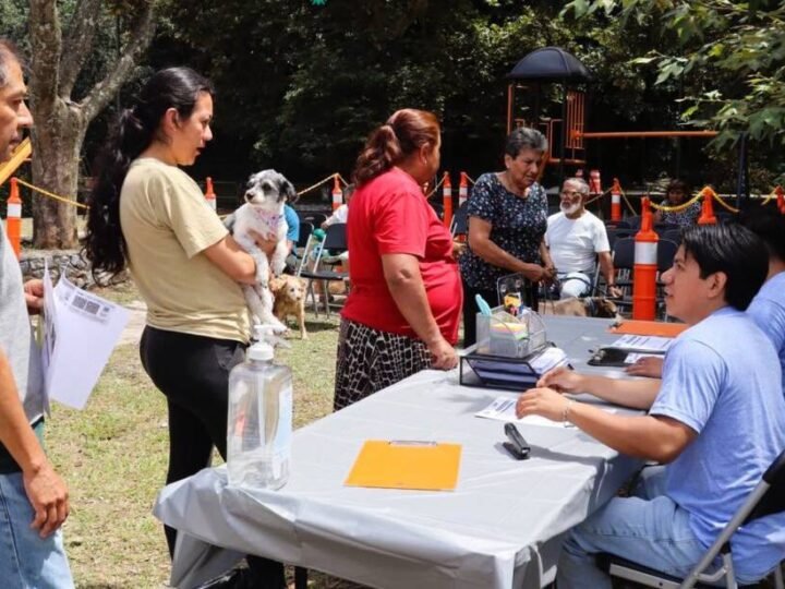 CAMPAÑA GRATUITA DE DESPARASITACIÓN PARA PERROS Y GATOS EN LA ALAMEDA DE ORIZABA