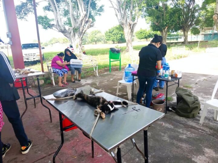PROGRAMA DE ESTERILIZACIÓN “HUELLITAS SALUDABLES” LLEGA A COMUNIDADES EN YANGA