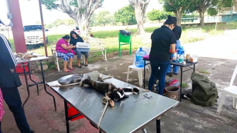 PROGRAMA DE ESTERILIZACIÓN “HUELLITAS SALUDABLES” LLEGA A COMUNIDADES EN YANGA