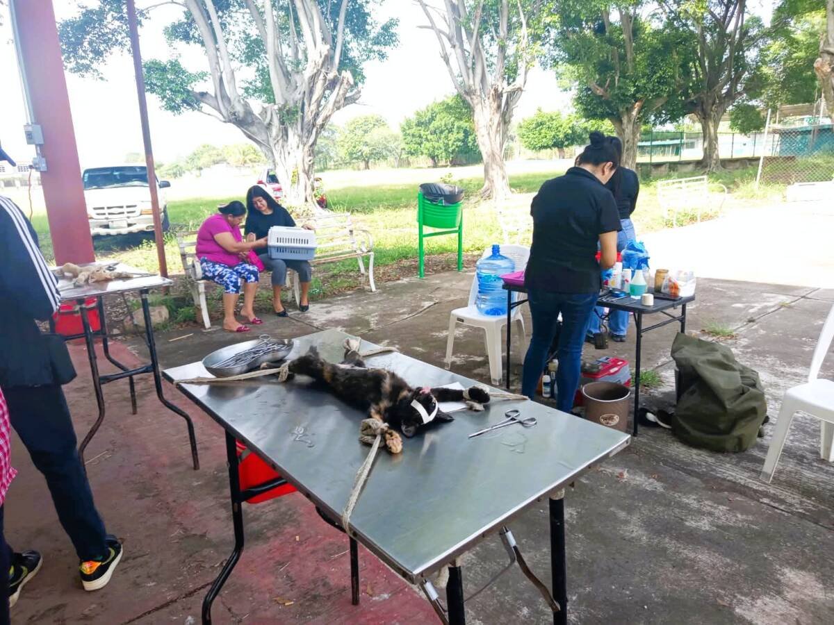 PROGRAMA DE ESTERILIZACIÓN “HUELLITAS SALUDABLES” LLEGA A COMUNIDADES EN YANGA