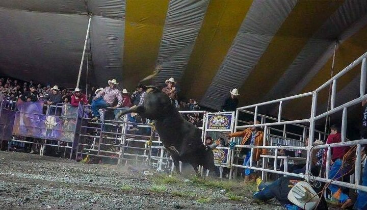 CONCLUYE FERIA DEL DURAZNO NO RODEO BAILE
