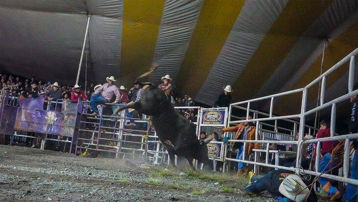 CONCLUYE FERIA DEL DURAZNO NO RODEO BAILE