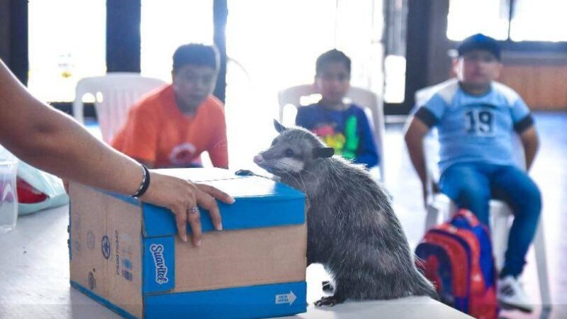 FOMENTAN PROTECCIÓN DE LOS ANIMALES EN ALPATLÁHUAC