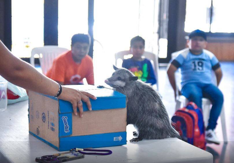 FOMENTAN PROTECCIÓN DE LOS ANIMALES EN ALPATLÁHUAC