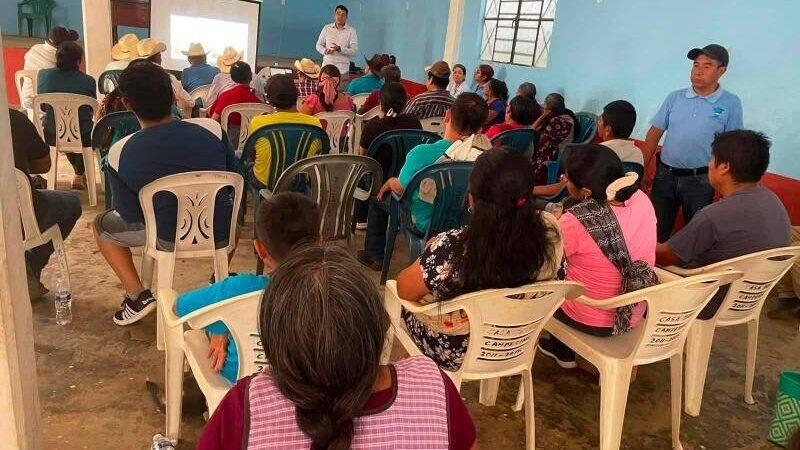 OFRECEN CRÉDITOS PARA AGRICULTORES Y APICULTORES