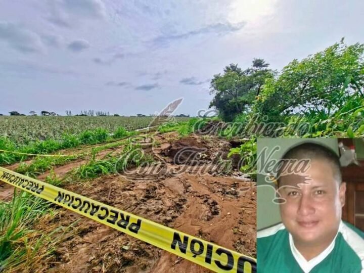 INTENTABAN SEMBRAR PIÑAS Y ENCUENTRAN FOSA CLANDESTINA