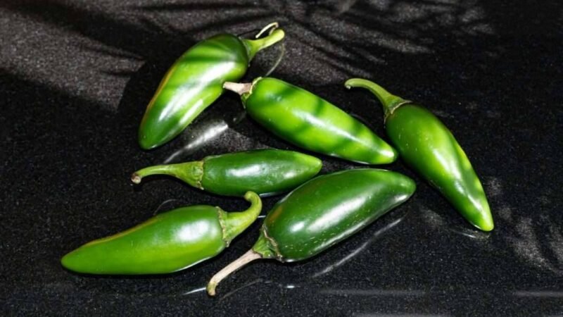 EU ADVIERTE DE BROTE DE SALMONELA POR JALAPEÑOS PROCEDENTES DE MÉXICO