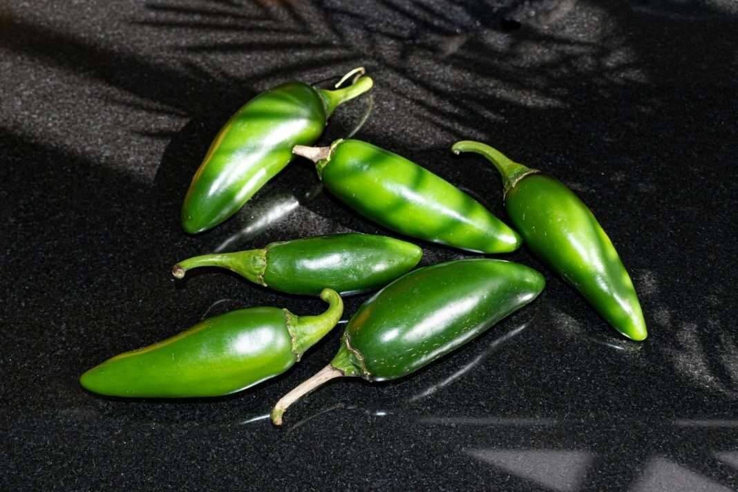 EU ADVIERTE DE BROTE DE SALMONELA POR JALAPEÑOS PROCEDENTES DE MÉXICO