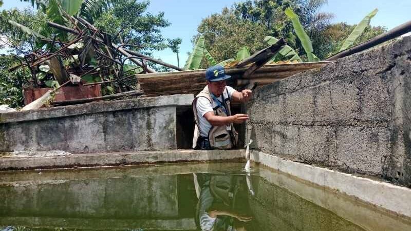 CONCLUYE ETAPA DE ABATIZACIÓN EN IXCAPANTLA