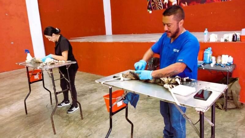 REALIZARÁN CAMPAÑAS DE ESTERILIZACIÓN EN COMUNIDADES DE YANGA