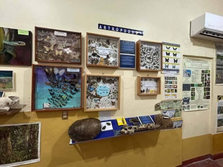FORTÍN SE HERMANA CON LA UNAM EN PRO DE LA PRESERVACIÓN DE LA BIODIVERSIDAD