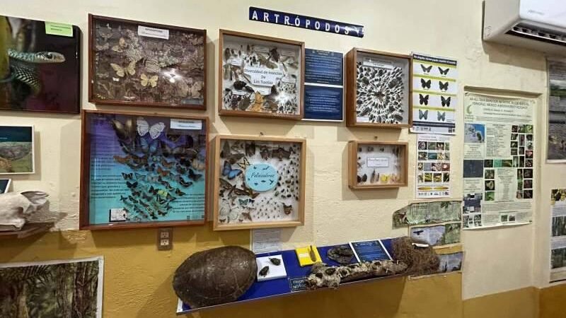 FORTÍN SE HERMANA CON LA UNAM EN PRO DE LA PRESERVACIÓN DE LA BIODIVERSIDAD