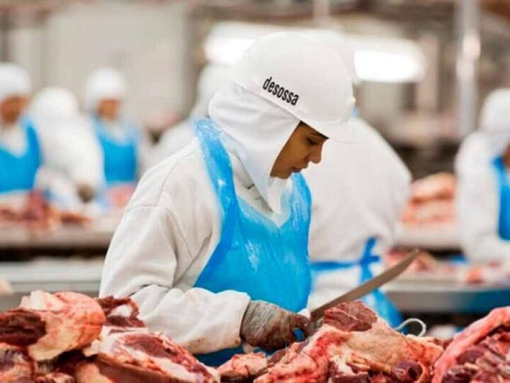 UE SUSPENDERÁ IMPORTACIONES DE CARNE, HUEVOS Y MIEL PROCEDENTES DE BRASIL
