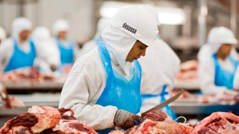 UE SUSPENDERÁ IMPORTACIONES DE CARNE, HUEVOS Y MIEL PROCEDENTES DE BRASIL