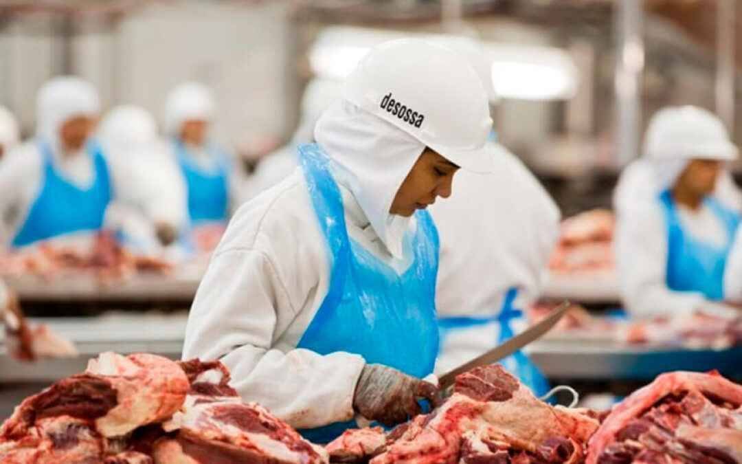 UE SUSPENDERÁ IMPORTACIONES DE CARNE, HUEVOS Y MIEL PROCEDENTES DE BRASIL