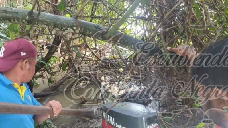 SE AHOGÓ INTENTANDO RESCATAR UN TORO; ENCUENTRAN SU CUERPO DÍAS DESPÚES