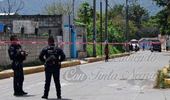 BALEAN A COMERCIANTE