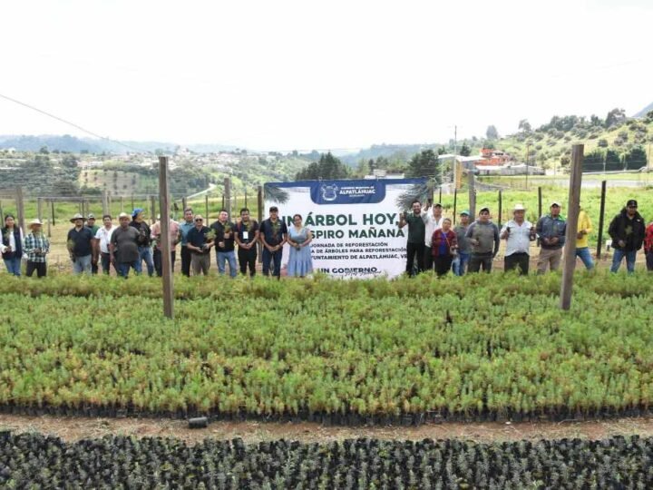 ENTREGAN ÁRBOLES EN ALPATLÁHUAC