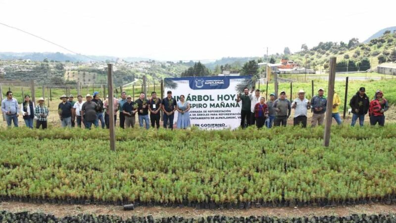 ENTREGAN ÁRBOLES EN ALPATLÁHUAC