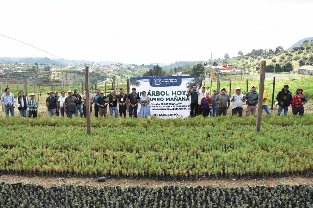 ENTREGAN ÁRBOLES EN ALPATLÁHUAC