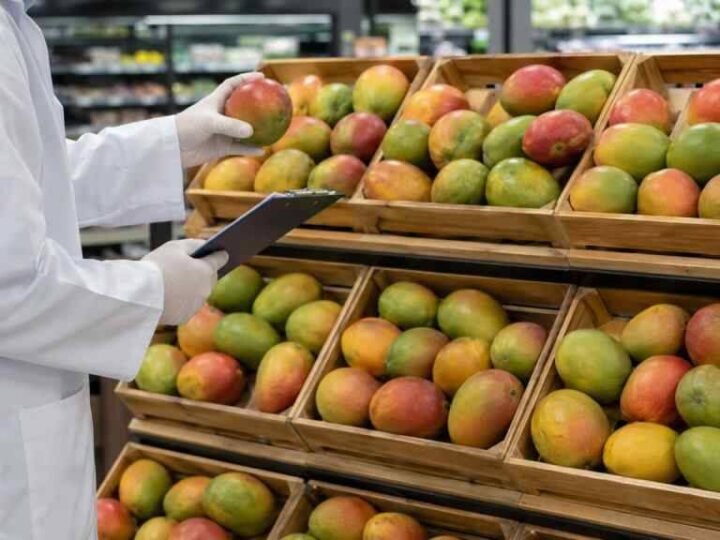 RETIRAN DEL MERCADO CAJAS DE MANGOS POR POSIBLE CONTAMINACIÓN CON SALMONELLA