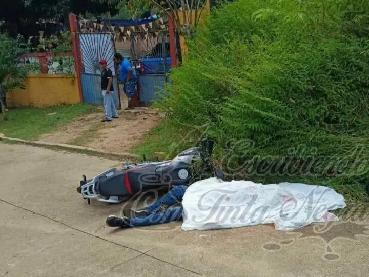 BALEAN A PADRE E HIJO