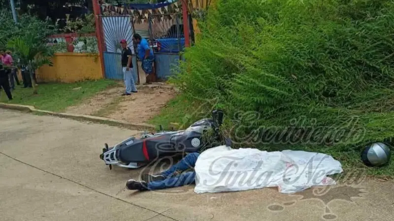 BALEAN A PADRE E HIJO