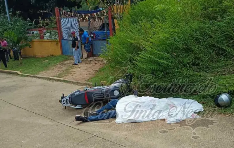 BALEAN A PADRE E HIJO