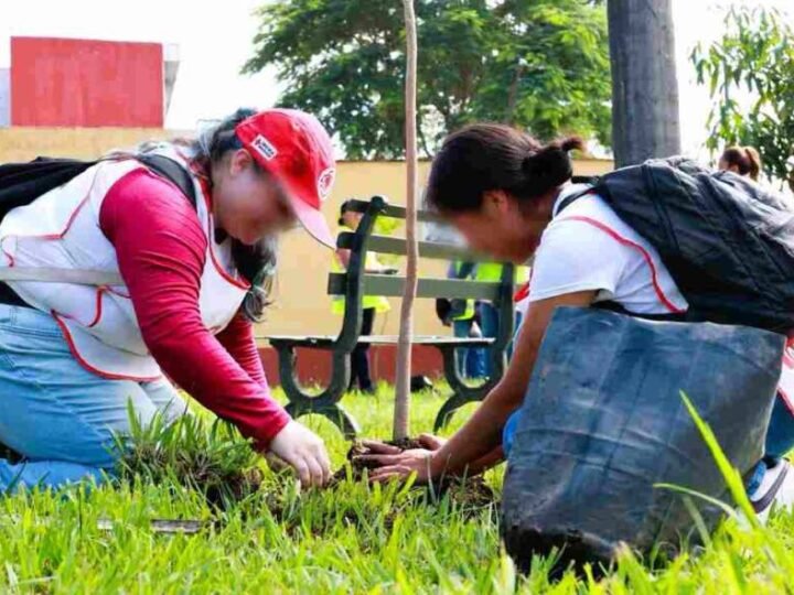 AVANZA REFORESTACIÓN EN ORIZABA; SUMAN 205 ÁRBOLES CON “ARBOLADA DE VOLADA”
