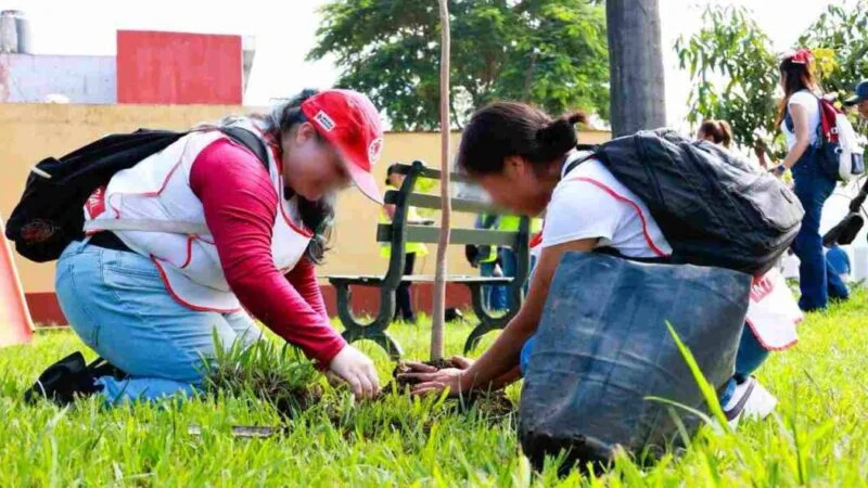 AVANZA REFORESTACIÓN EN ORIZABA; SUMAN 205 ÁRBOLES CON “ARBOLADA DE VOLADA”