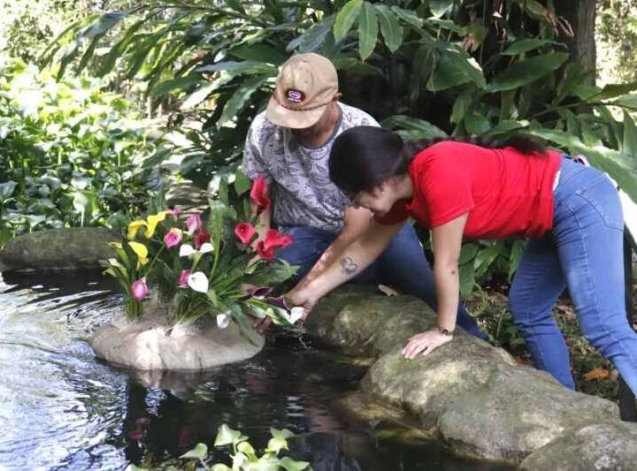 FORTALECEN CALIDAD DEL AGUA EN BIORI CON HUMEDALES FLOTANTES DONADOS POR ESTUDIANTES DEL TEC DE ZONGOLICA