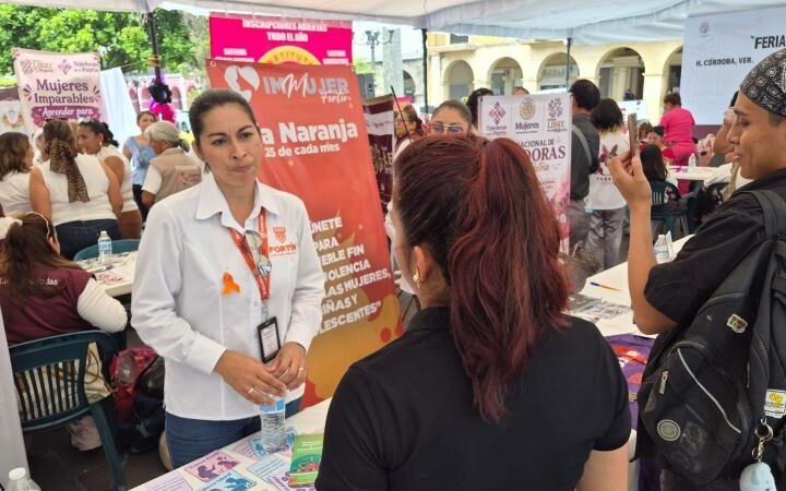 ATIENDE INSTITUTO DE LA MUJER MÁS DE 200 CASOS DE AGRESIÓN EN EL AÑO