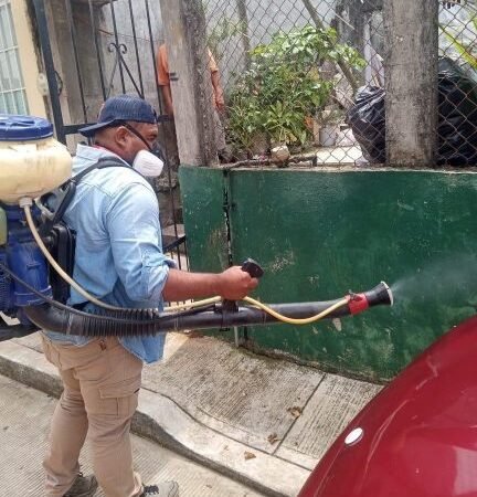 MANTIENE FORTÍN JORNADAS DE FUMIGACIÓN