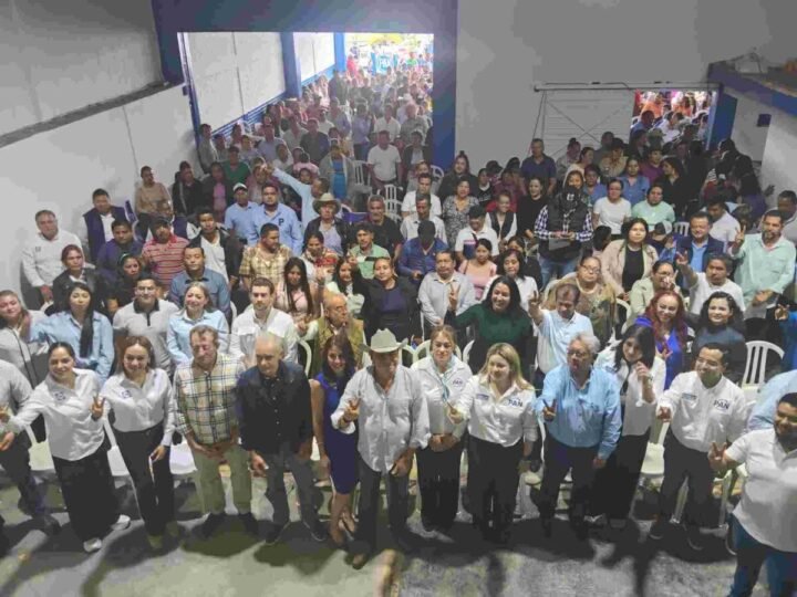 PAN BUSCA ASEGURAR 10 DIPUTACIONES FEDERALES Y 10 LOCALES