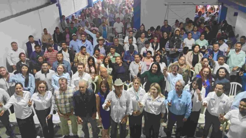 PAN BUSCA ASEGURAR 10 DIPUTACIONES FEDERALES Y 10 LOCALES